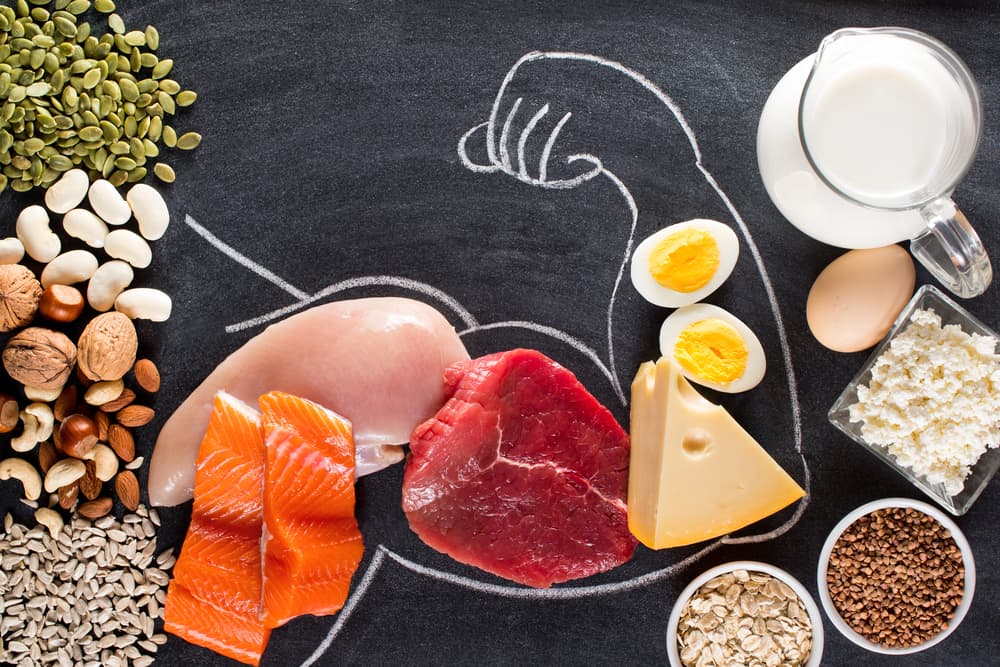What Is Protein And Why Is It Important For Teens - Bioteen Health