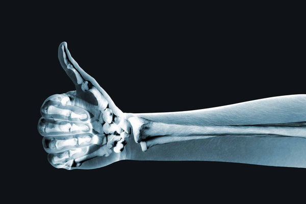Muscle Mass & Bone Density: To be a Strong Adult - Bioteen Health
